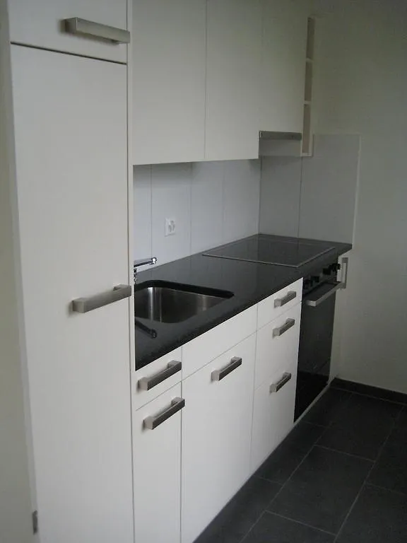 Apartment Gellertstrasse 22 Hotel Basel Switzerland